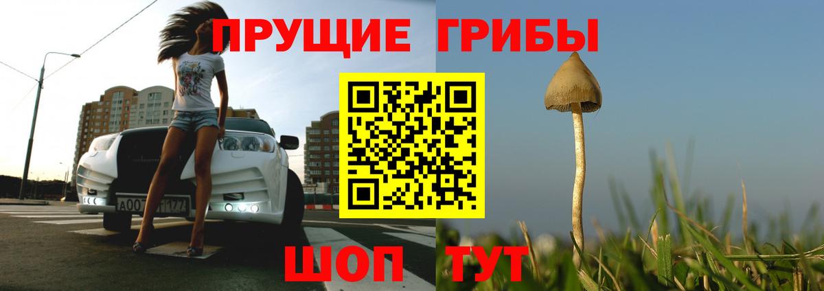 Краснознаменск  Псилоцибиновые грибы ЛСД  Вход с VPN  Псилоцибиновые грибы ЛСД 